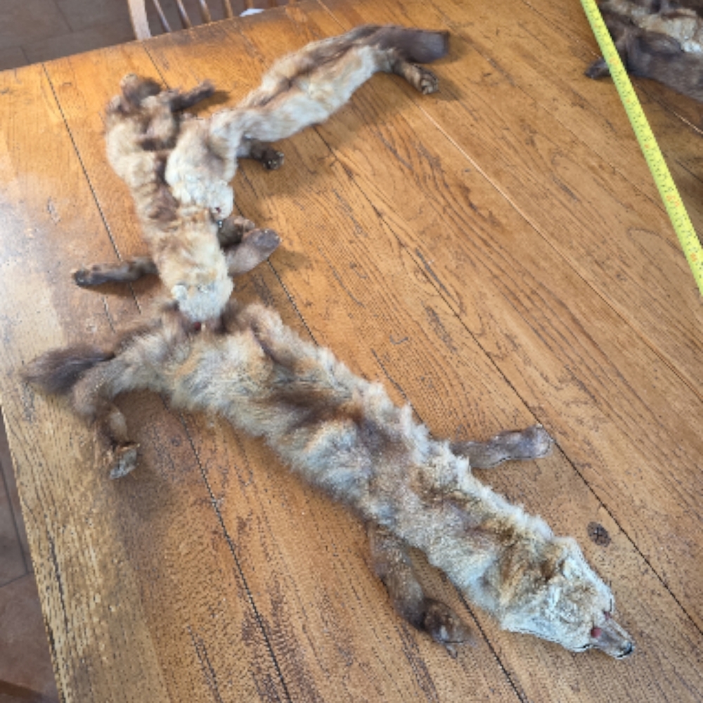 3 Vintage 1930's/40's Red Fox Fur Triple Stoles - Picture 13 of 16
